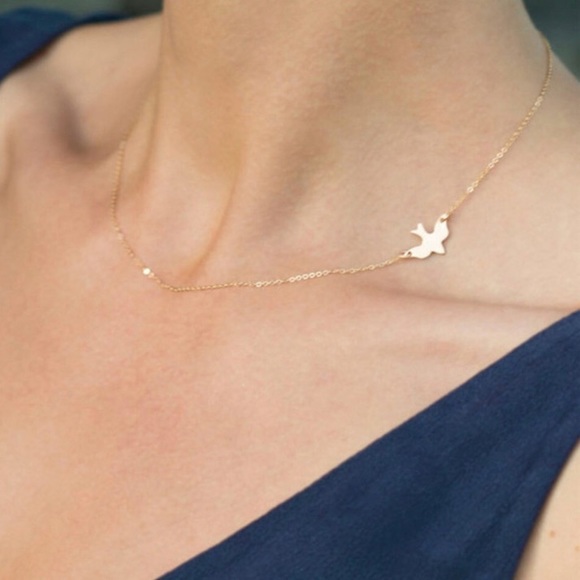 Jewelry - Dainty Dove necklace